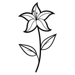 black and white flower