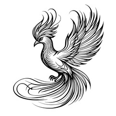 Fototapeta premium Majestic Phoenix Bird Elegant Line Art Illustration of a Mythical Creature in Flight