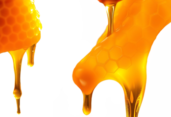honey dripping on white background