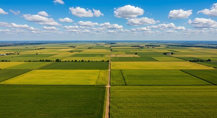 Scenic aerial view of vast agricultural farmland with a patchwork of green and yellow crop fields under a beautiful blue sky