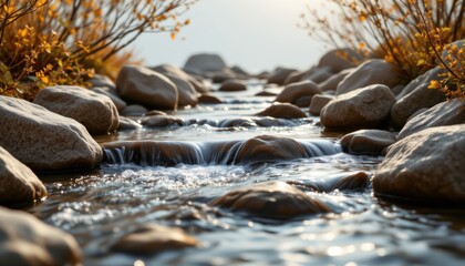 Rocky Stream with Autumn Foliage