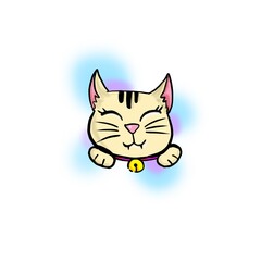 cat on a white background