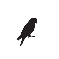 Parrot Perched Silhouette on White Background – Vector Illustration for Tropical Wildlife, Exotic Pet, and Nature Themes
