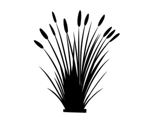 Grass silhouette, vector illustration of reeds in various shapes, Natural field plant icon isolated on white background
