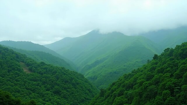 Soaring drone view captures misty green mountains and rolling hills in Coorg, Karnataka, with lush foliage under a soft sky.