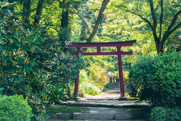 奈良の美しい岡寺の庭園
