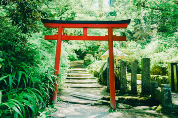 Naklejka premium 奈良の美しい岡寺の庭園