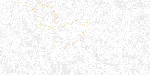 Obraz premium White wave paper curved reliefs abstract background. Background of the topography map. Abstract pattern with lines. Minimal grid Contour abstract map relief land outline. Topographic map patterns. 