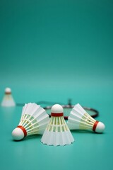 Badminton Shuttlecock on Blue Court with Net