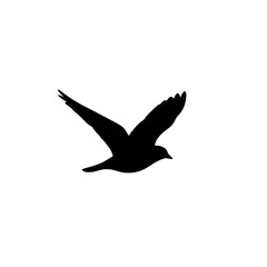 Obraz premium Abstract black bird silhouette in graceful flight, representing freedom, migration, and natural cycles for autumnal equinox designs.