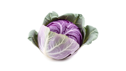 Obraz premium cabbage isolated on white background