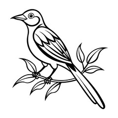 vector illustration of a bird