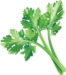 realistic celery salad leaves vector