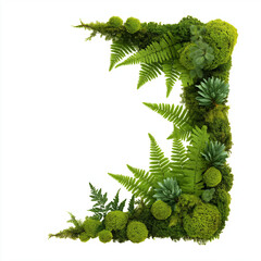 Jungle-Inspired Leaf Arrangement Frame