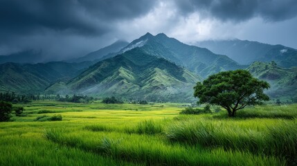 Fototapeta premium Lush Green Valley and Mountain Landscape under Dark Sky