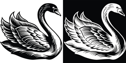 An intricate black and white line drawing of two swans intertwined, showcasing their symmetry and elegance in flight © merry