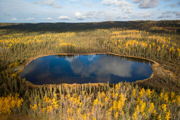 Scenic blue water pond in the middle of yellow autumn trees in the Alaska.