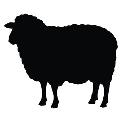 Obraz premium Silhouette of a black sheep standing sideways against a pure white background illustration