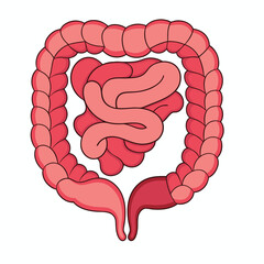  human-intestine