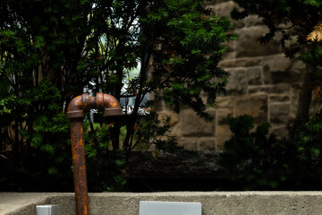 Rusty pipe surrounded by greenery near an old stone wall on a cloudy day