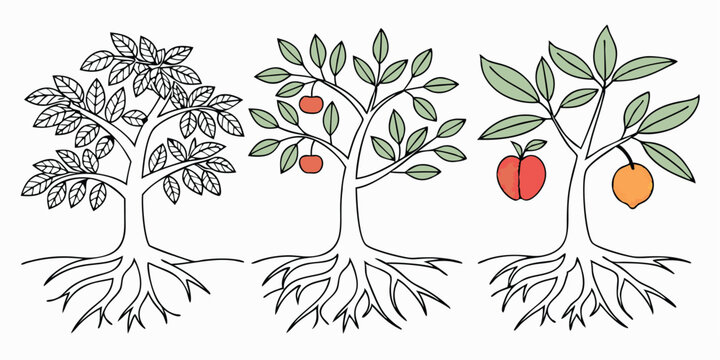 trees line icon set vector pictograms of roots