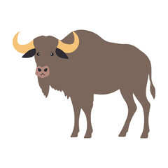Mighty Buffalo Illustration Flat Design