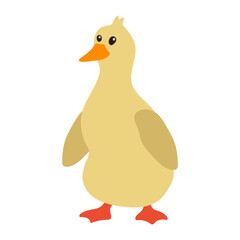 Cute Duck Illustration Flat Design