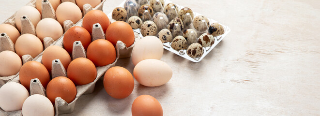 Diggerent kind of fresh eggs in containers.