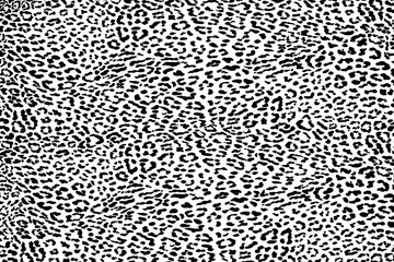 Trendy leopard skin pattern background, vector illustration. Animal fur, leather, skin, texture background for fabric design, fashion, textile, wrapping paper, wallpaper, decoration, print, etc.