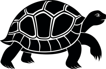 Turtle reptile animal wildlife tortoise silhouette vector illustration