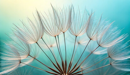 Macro Image of Dandelion Seeds with Soft Light and Blue Gradient Background