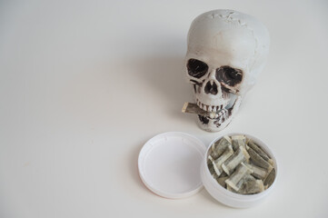 Skull Chewing Tobacco on a White Table.