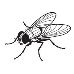 Vector image of a fly created in black and white, surrounded by clean black outlines that highlight its detailed body parts, wings, and thin limbs.

