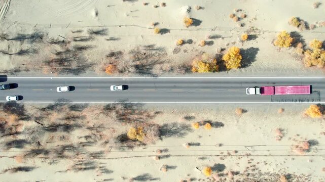 Drone view of asphalt road passing through golden populus euphratica forest in Gobi desert on sunny autumn day in Taklamakan Desert, Xinjiang, China, 4k real time high angle view, travel concept.