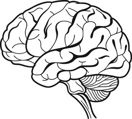 Black and white vector illustration of a human brain with intricate details and a simplified style