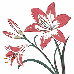 abstract floral background with zephyranthes robusta