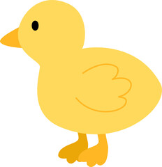 cute chicken cartoon animal