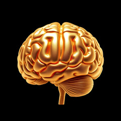 Detailed Shimmering Golden Human Brain Anatomy on Stark Black Background for Medical Science and Education Use