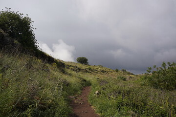 The way to waterfall, part of Gamla Nature reserve, Golan Heights, Israel