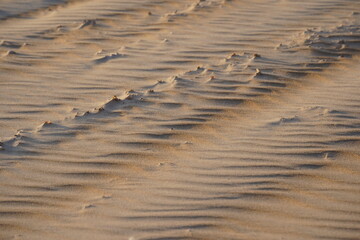 Sand in nature as a background. Photo of an abstract texture