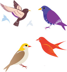 Fototapeta premium set of birds. Birds Vector Illustration – Colorful or Silhouette Bird Designs in Flight or Perched, Perfect for Nature, Wildlife, Freedom, Sky, Spring, or Decorative Artwork