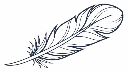 Obraz premium feather isolated on white background