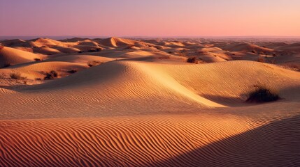 Golden sand dunes in the desert with wind patterns