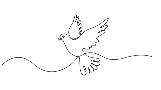 Continuous one line drawing of flying dove. Peace and Hope, Animal nature collection. Video lines art animation. Dove draw by one continuous black line on transparent background with alpha channel. 