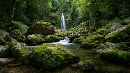 Small waterfall in the forest