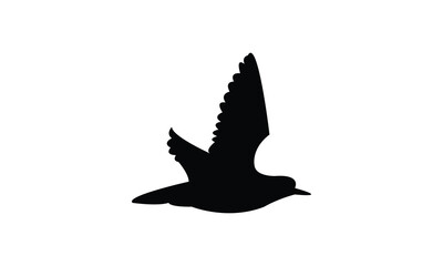 Flying American golden plover bird Silhouette Design  And Vector Illustration. 