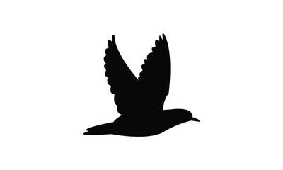 Flying American golden plover bird Silhouette Design  And Vector Illustration. 