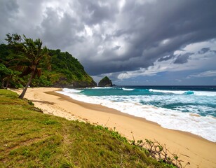 Tropical beach scene under a dramatic sky