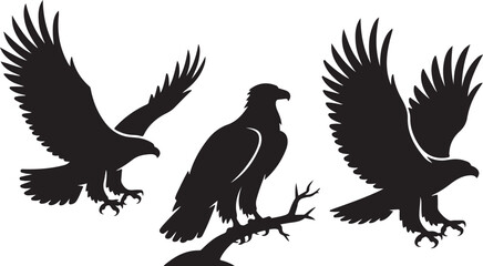 Obraz premium Flying Eagle Silhouette SVG Eagle Bird Cut File Bundle Hawk Eagle Vector Clipart Set