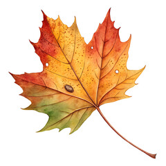 Fototapeta premium Watercolor Clipart Happy Holiday Leaf Design for Fall Decorations in Nature Artwork